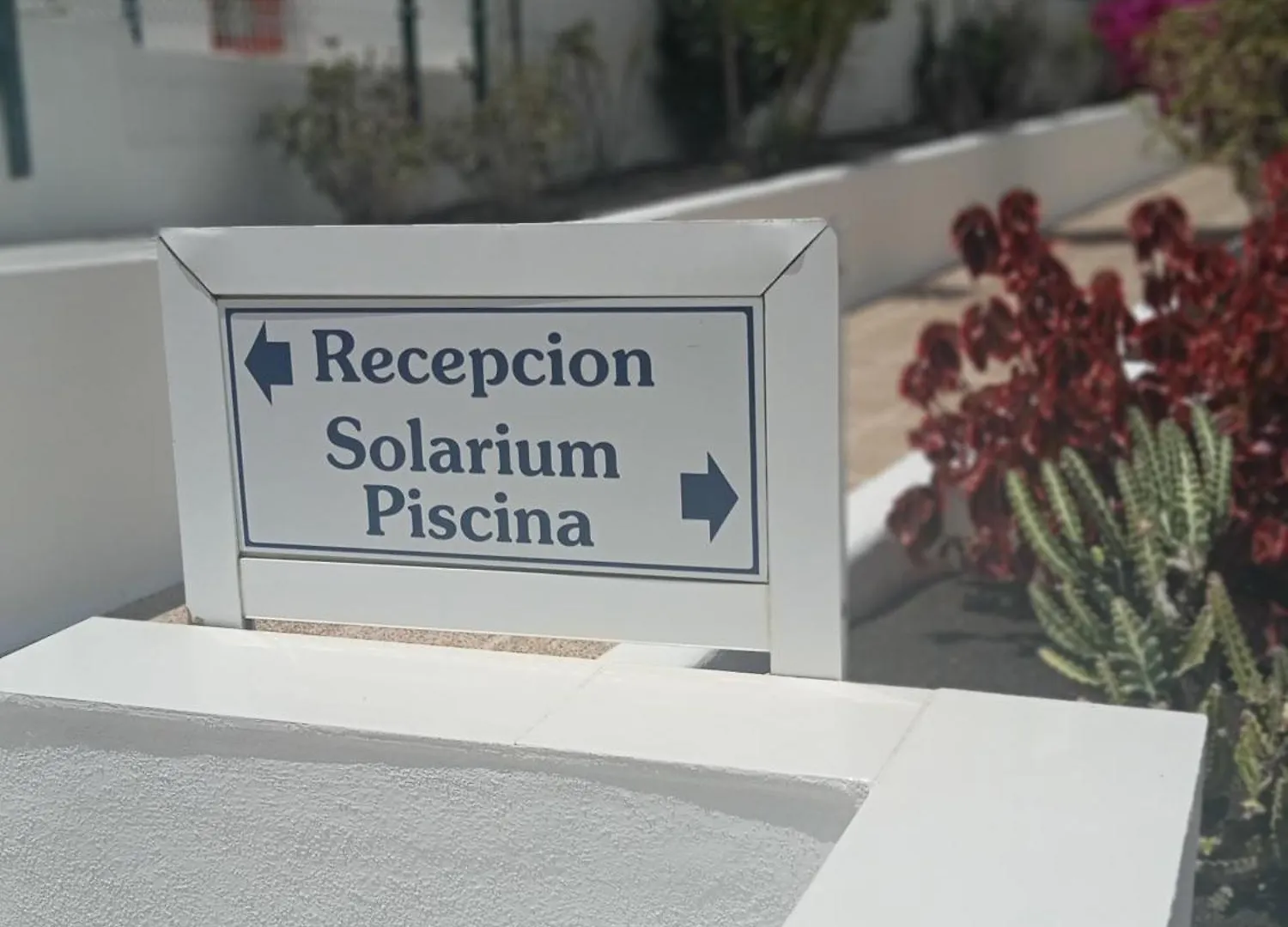 Penthouse Sea View Jacuzzy Terrace & Pool Apartment Playa Fanabe 0*,