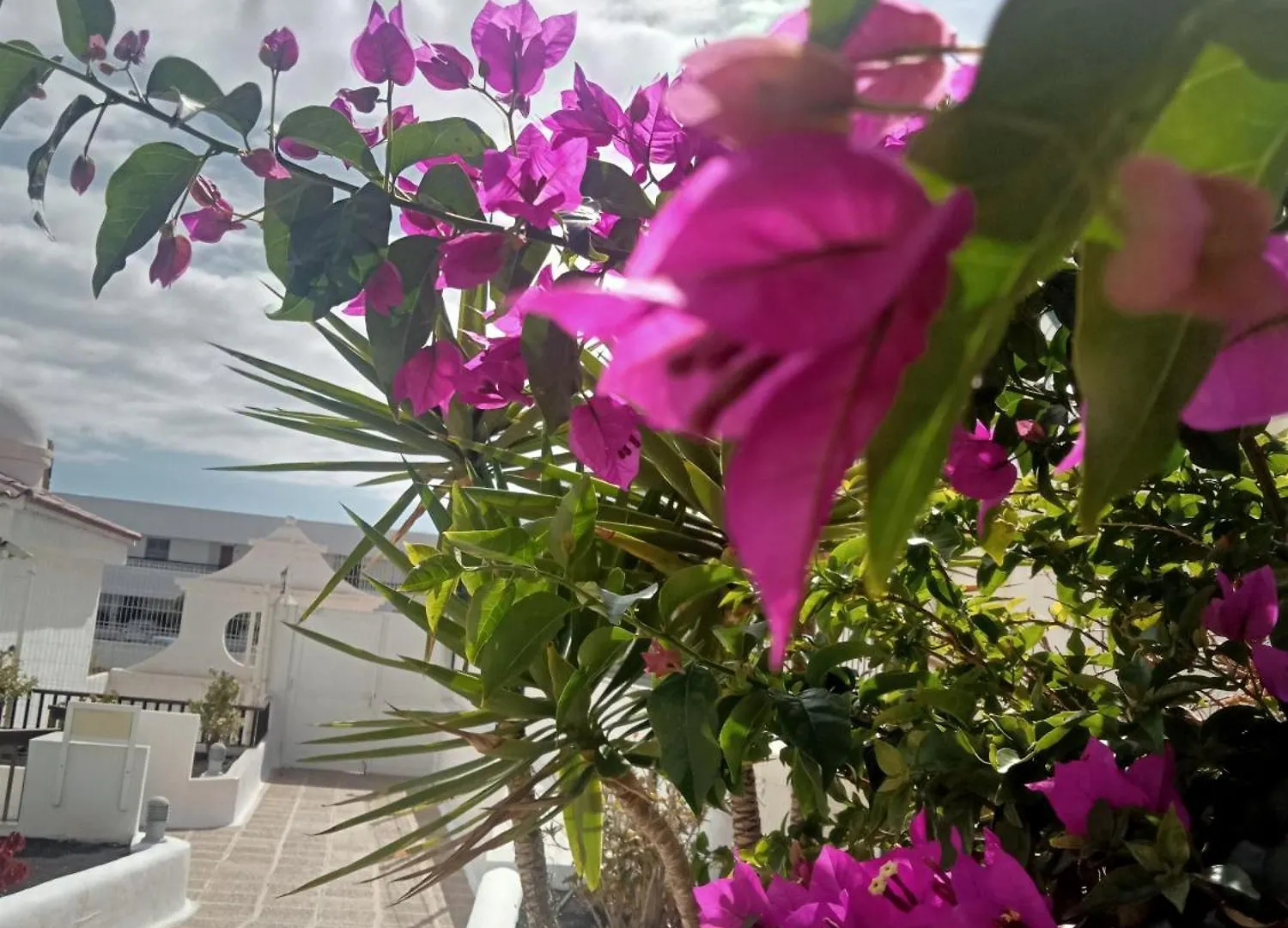 Penthouse Sea View Jacuzzy Terrace & Pool Apartment Playa Fanabe